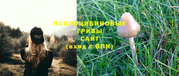 прущие крисы Алзамай